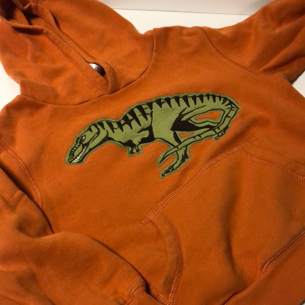 Gymboree T-Rex Sweatshirt Hoodie